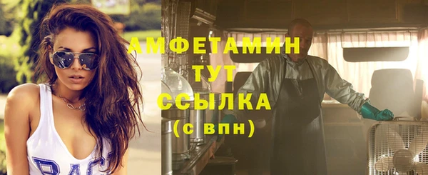 стаф Гусь-Хрустальный
