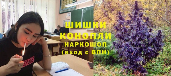 a pvp Гусев