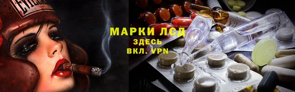 стаф Гусь-Хрустальный