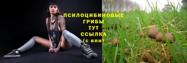 гашиш Гусиноозёрск