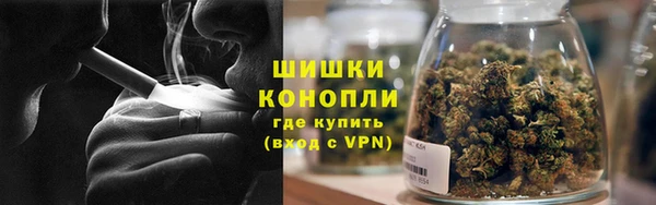 ПСИЛОЦИБИНОВЫЕ ГРИБЫ Дмитровск