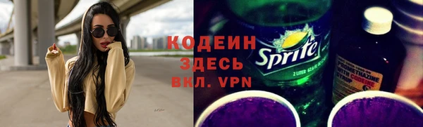 стаф Гусь-Хрустальный
