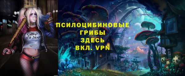 стаф Гусь-Хрустальный
