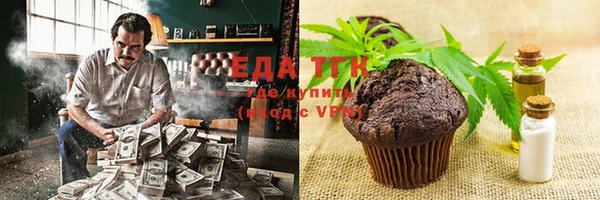 стаф Гусь-Хрустальный