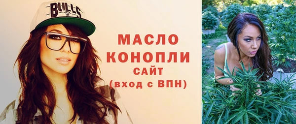 стаф Гусь-Хрустальный