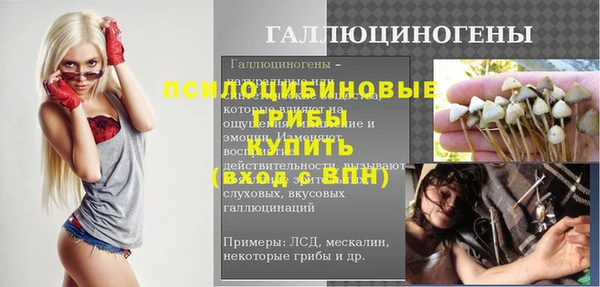 a pvp Гусев